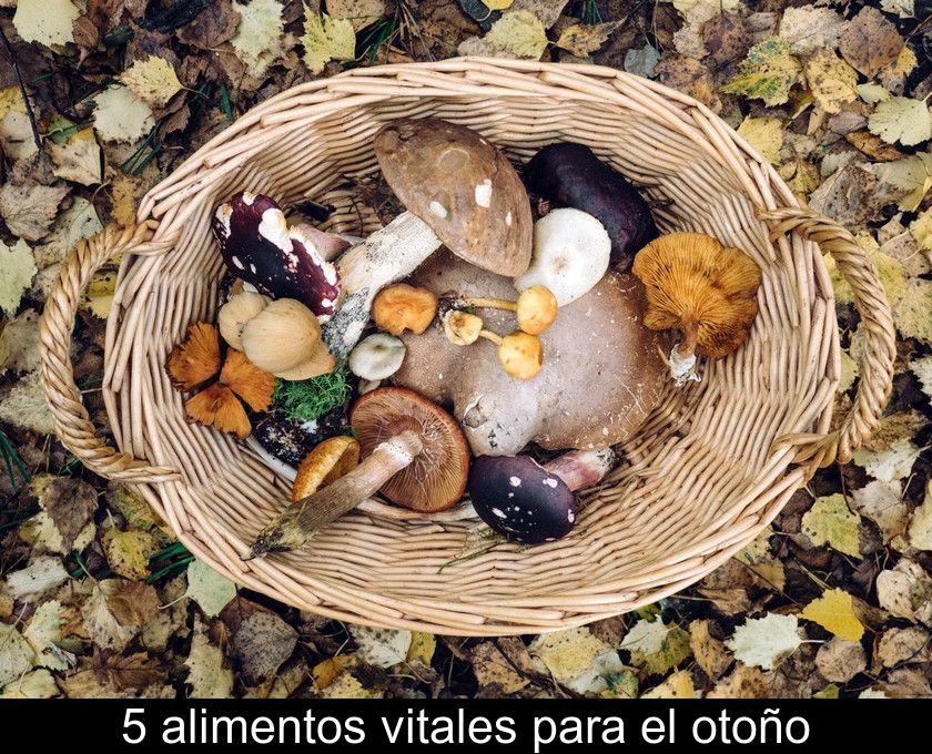 5 Alimentos Vitales Para El Otoño