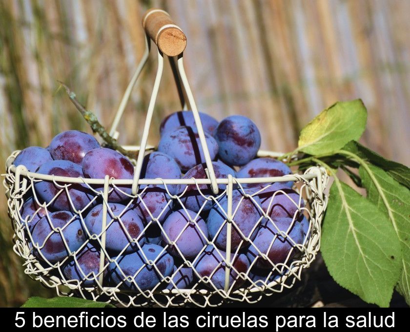 5 Beneficios De Las Ciruelas Para La Salud