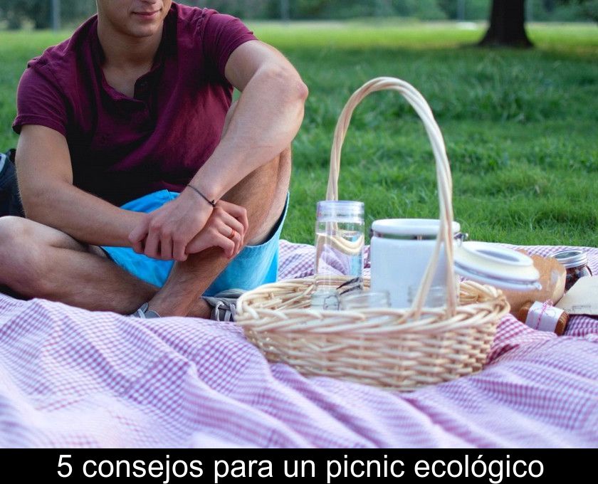 5 Consejos Para Un Picnic Ecológico