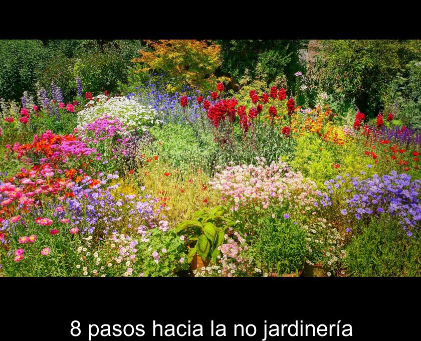 8 Pasos Hacia La No Jardinería