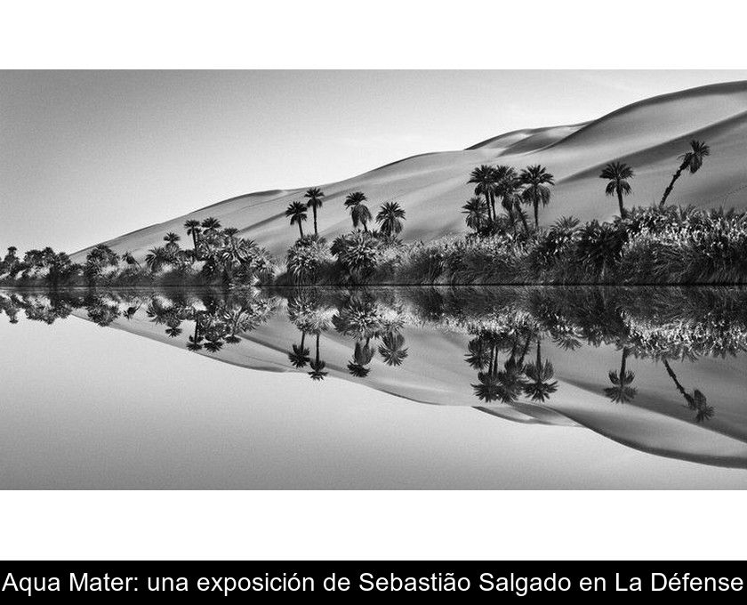 Aqua Mater: Una Exposición De Sebastião Salgado En La Défense