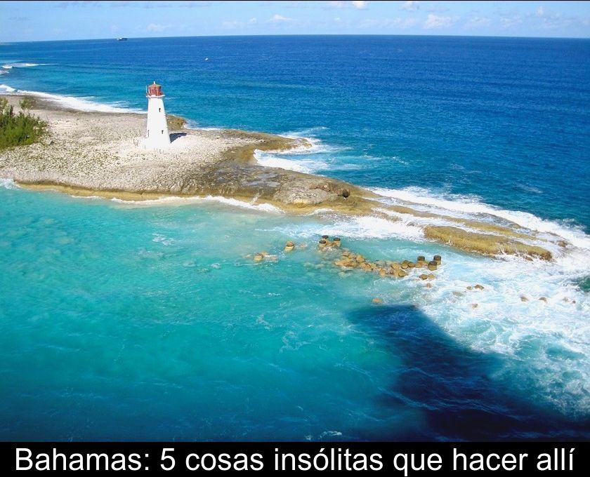 Bahamas: 5 Cosas Insólitas Que Hacer Allí