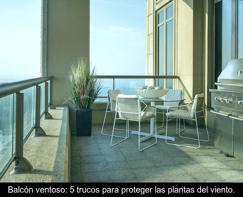 Balcón Ventoso: 5 Trucos Para Proteger Las Plantas Del Viento.