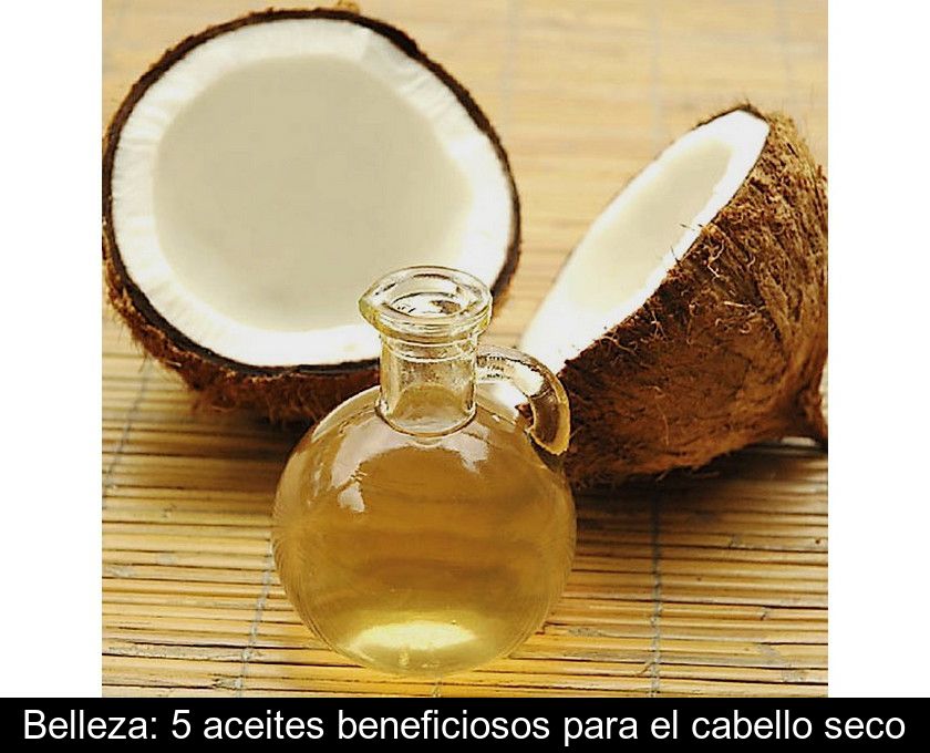 Belleza: 5 Aceites Beneficiosos Para El Cabello Seco