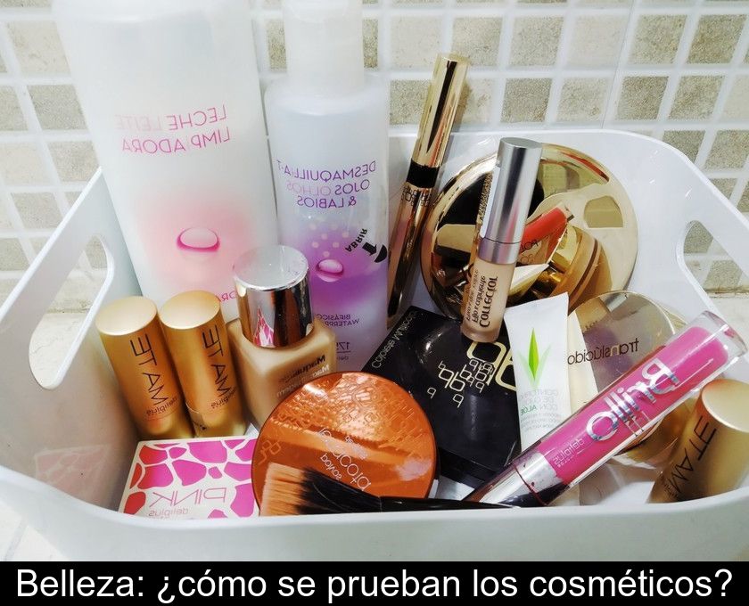 Belleza: ¿cómo Se Prueban Los Cosméticos?