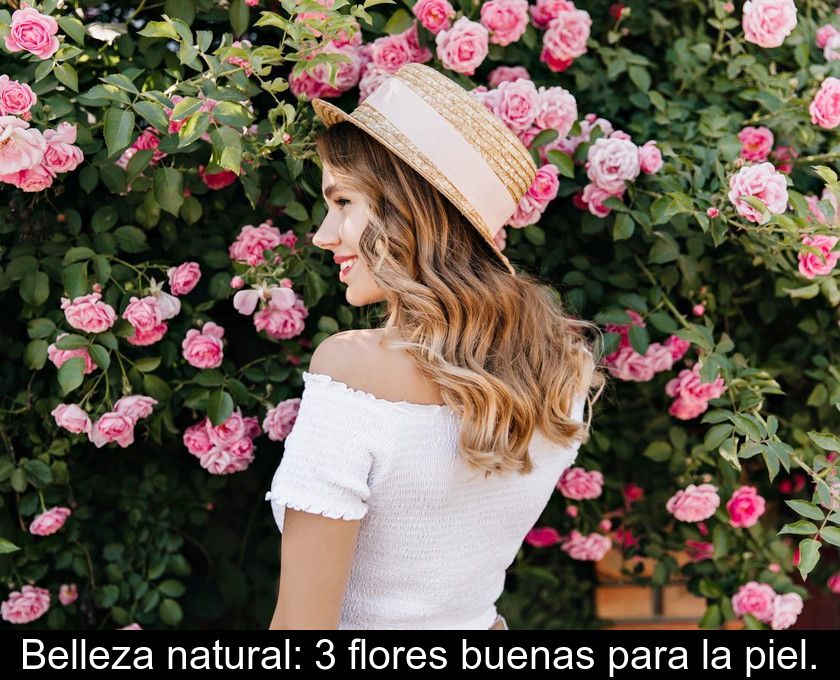 Belleza Natural: 3 Flores Buenas Para La Piel.