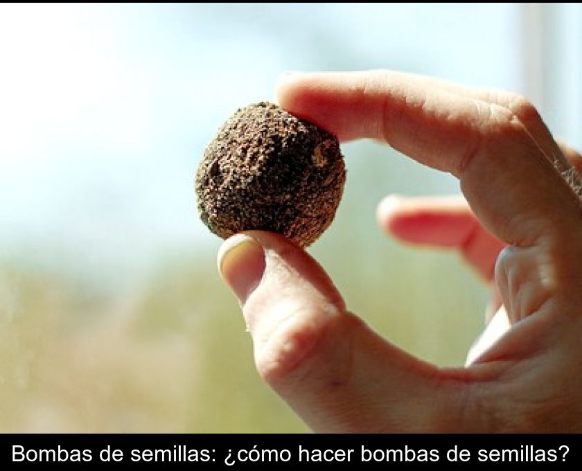 Bombas De Semillas: ¿cómo Hacer Bombas De Semillas?