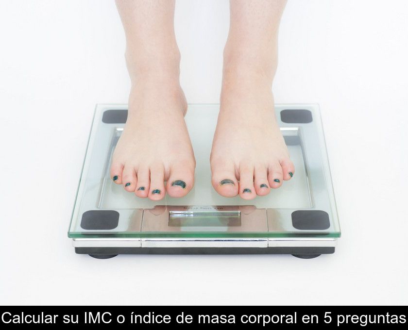 Calcular Su Imc O índice De Masa Corporal En 5 Preguntas