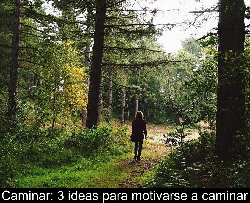 Caminar: 3 Ideas Para Motivarse A Caminar