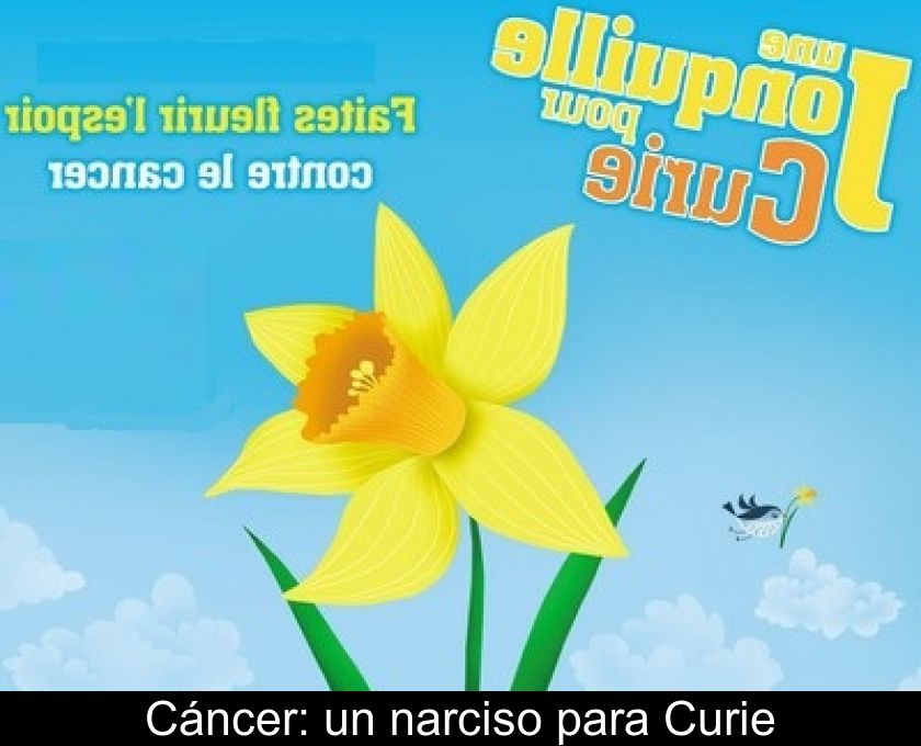 Cáncer: Un Narciso Para Curie