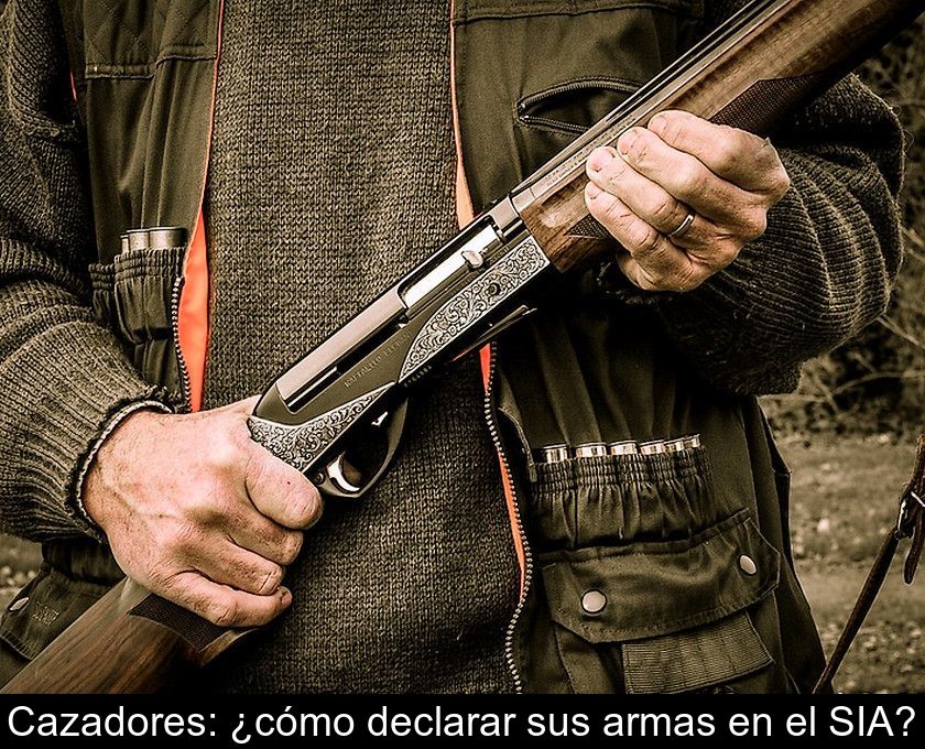 Cazadores: ¿cómo Declarar Sus Armas En El Sia?