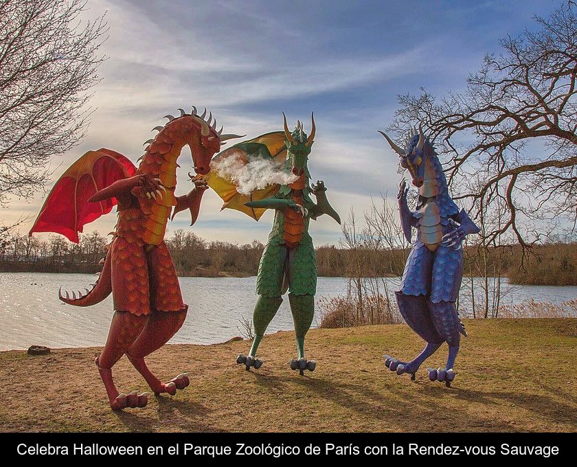 Celebra Halloween En El Parque Zoológico De París Con La Rendez-vous Sauvage