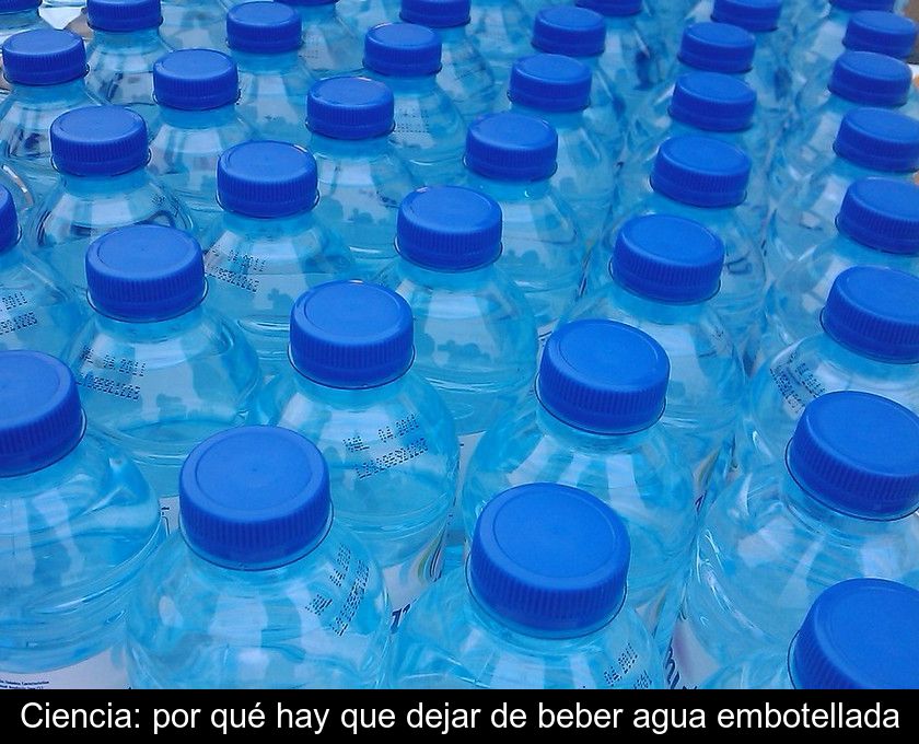 Ciencia: Por Qué Hay Que Dejar De Beber Agua Embotellada