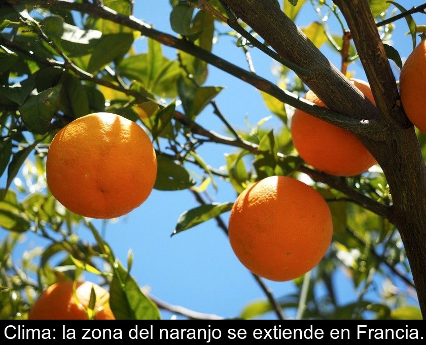 Clima: La Zona Del Naranjo Se Extiende En Francia.