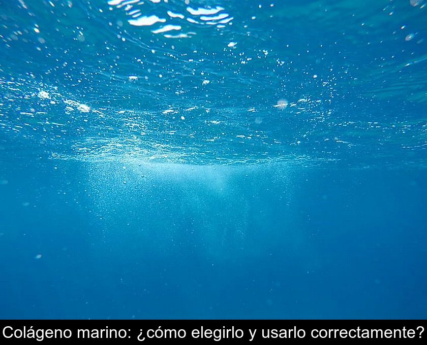 Colágeno Marino: ¿cómo Elegirlo Y Usarlo Correctamente?