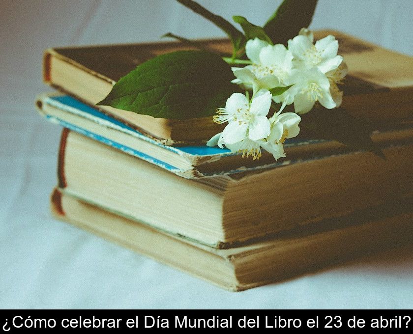 ¿cómo Celebrar El Día Mundial Del Libro El 23 De Abril?