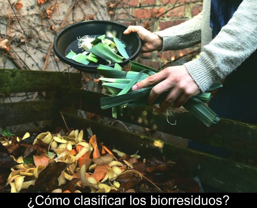 ¿cómo Clasificar Los Biorresiduos?
