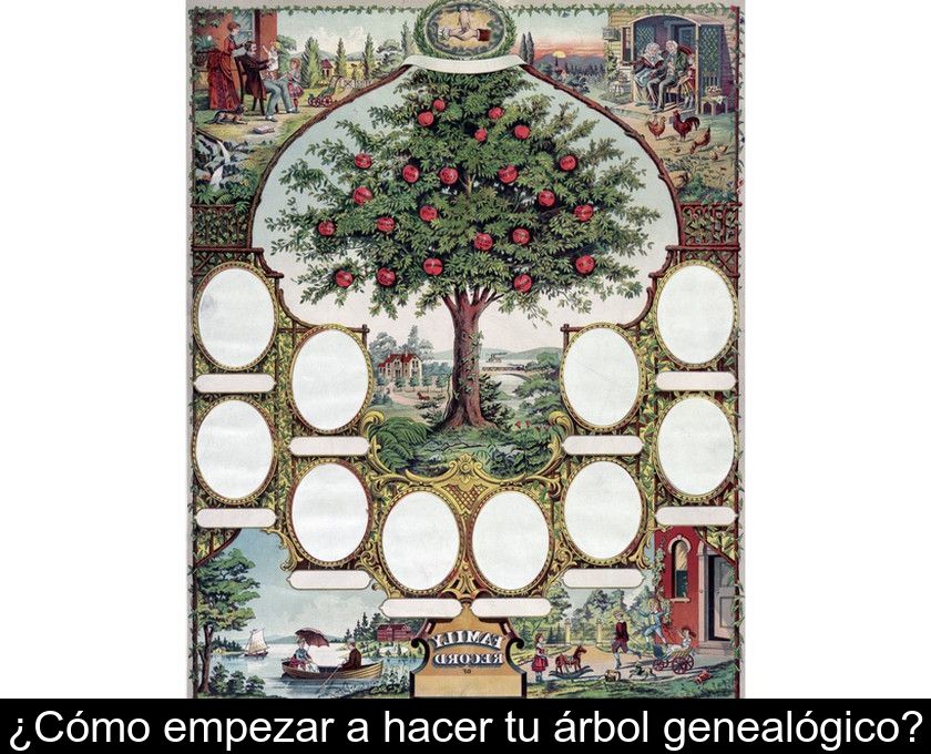 ¿cómo Empezar A Hacer Tu árbol Genealógico?