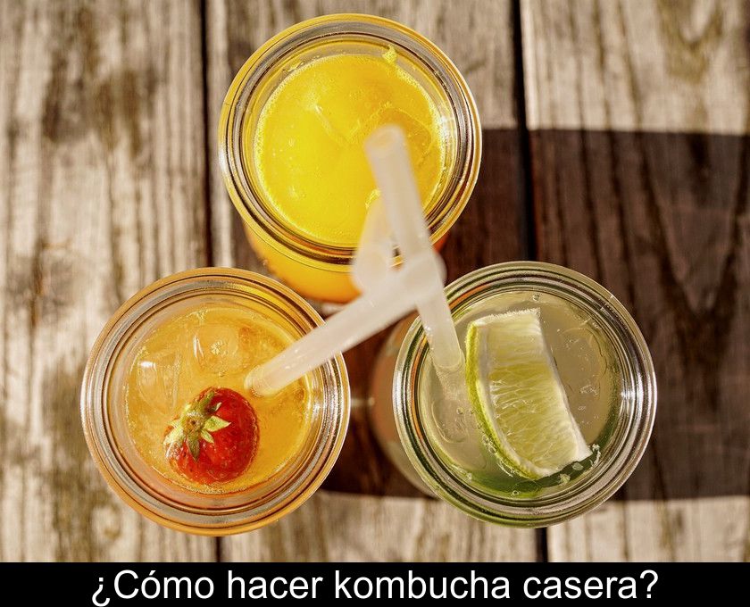 ¿cómo Hacer Kombucha Casera?