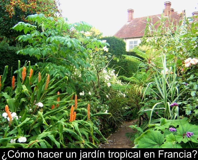 ¿cómo Hacer Un Jardín Tropical En Francia?