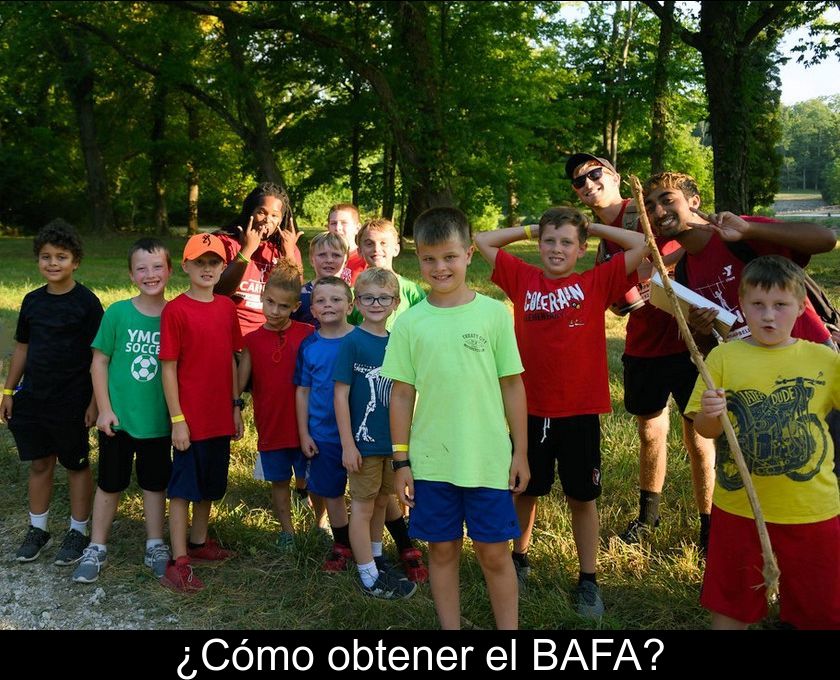 ¿cómo Obtener El Bafa?