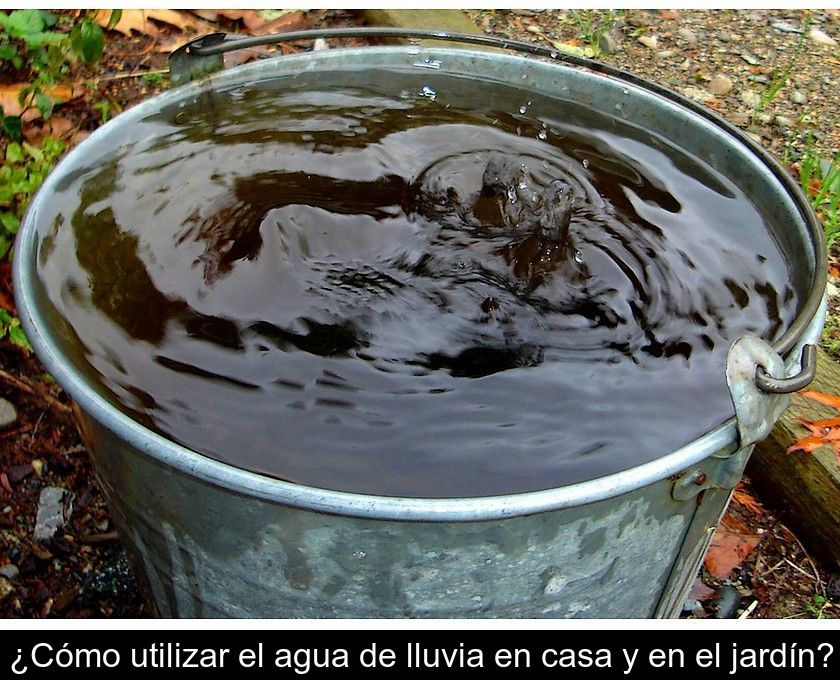 ¿cómo Utilizar El Agua De Lluvia En Casa Y En El Jardín?