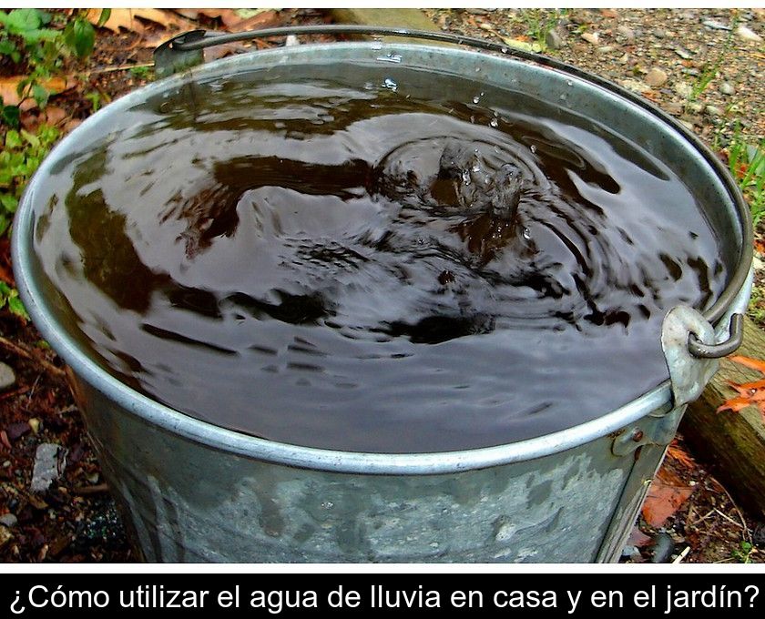 ¿cómo Utilizar El Agua De Lluvia En Casa Y En El Jardín?