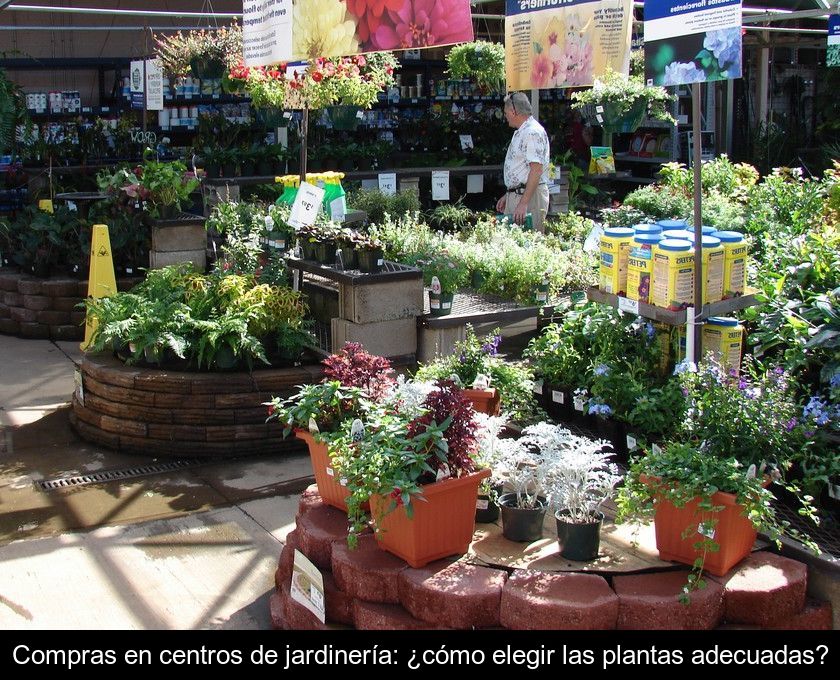 Compras En Centros De Jardinería: ¿cómo Elegir Las Plantas Adecuadas?