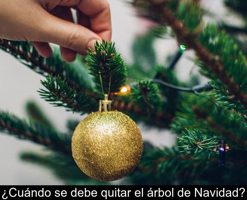 ¿cuándo Se Debe Quitar El árbol De Navidad?