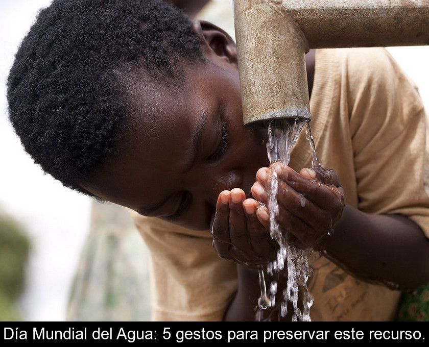 Día Mundial Del Agua: 5 Gestos Para Preservar Este Recurso.
