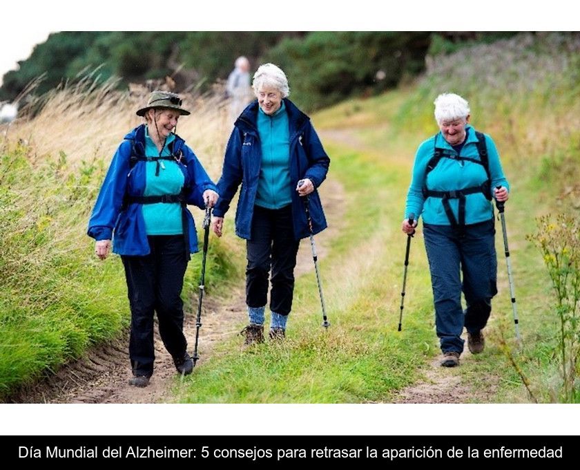 Día Mundial Del Alzheimer: 5 Consejos Para Retrasar La Aparición De La Enfermedad