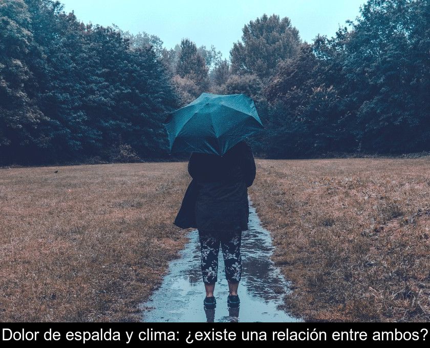 Dolor De Espalda Y Clima: ¿existe Una Relación Entre Ambos?