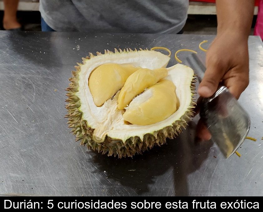 Durián: 5 Curiosidades Sobre Esta Fruta Exótica