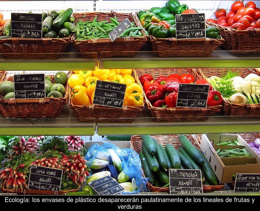 Ecología: Los Envases De Plástico Desaparecerán Paulatinamente De Los Lineales De Frutas Y Verduras