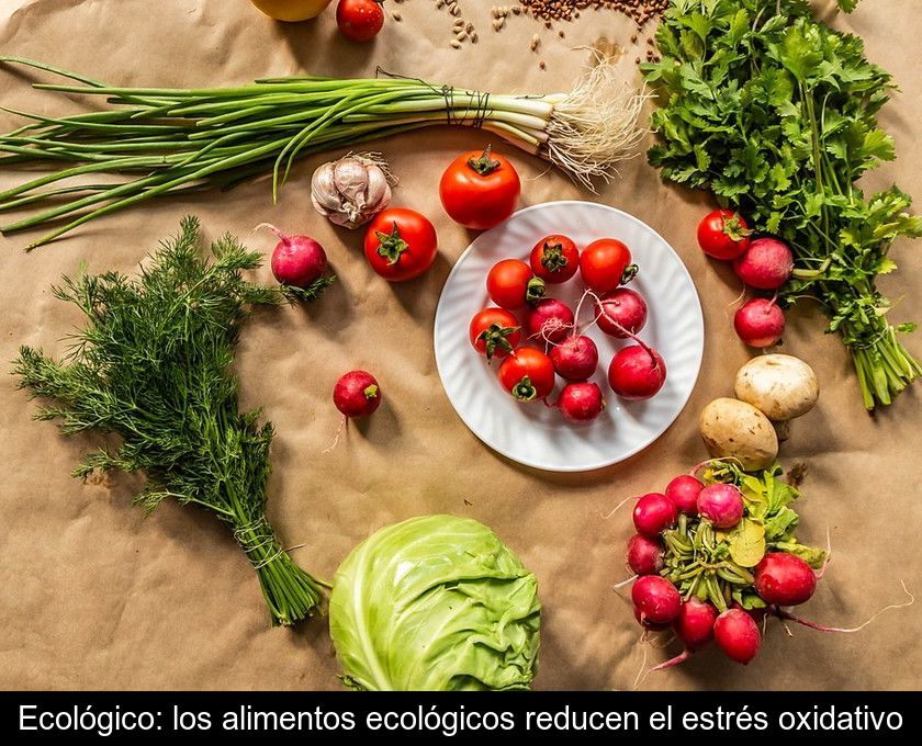 Ecológico: Los Alimentos Ecológicos Reducen El Estrés Oxidativo