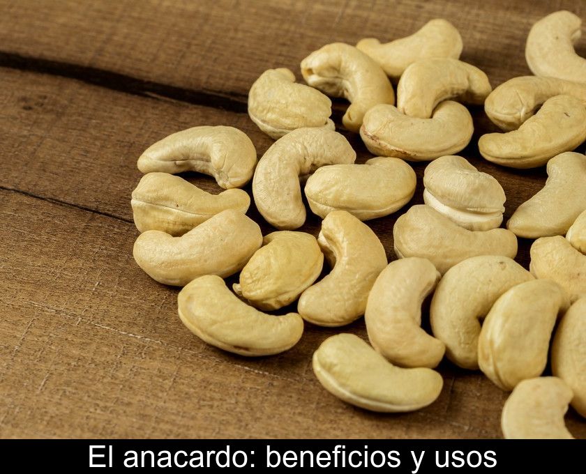 El Anacardo: Beneficios Y Usos