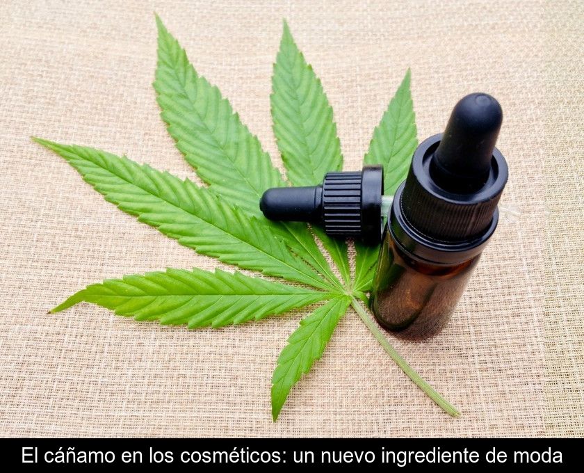 El Cáñamo En Los Cosméticos: Un Nuevo Ingrediente De Moda