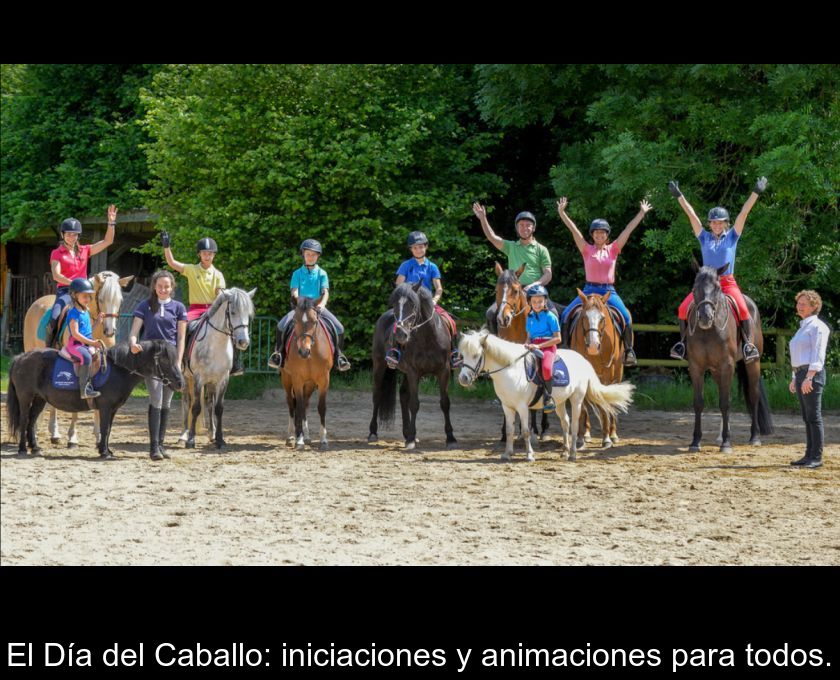 El Día Del Caballo: Iniciaciones Y Animaciones Para Todos.