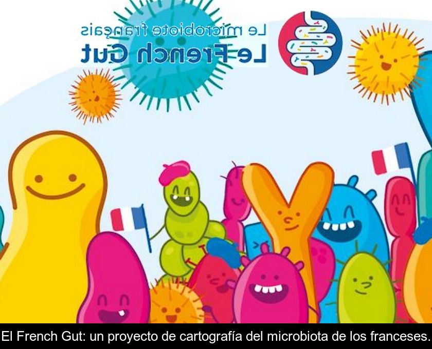 El French Gut: Un Proyecto De Cartografía Del Microbiota De Los Franceses.