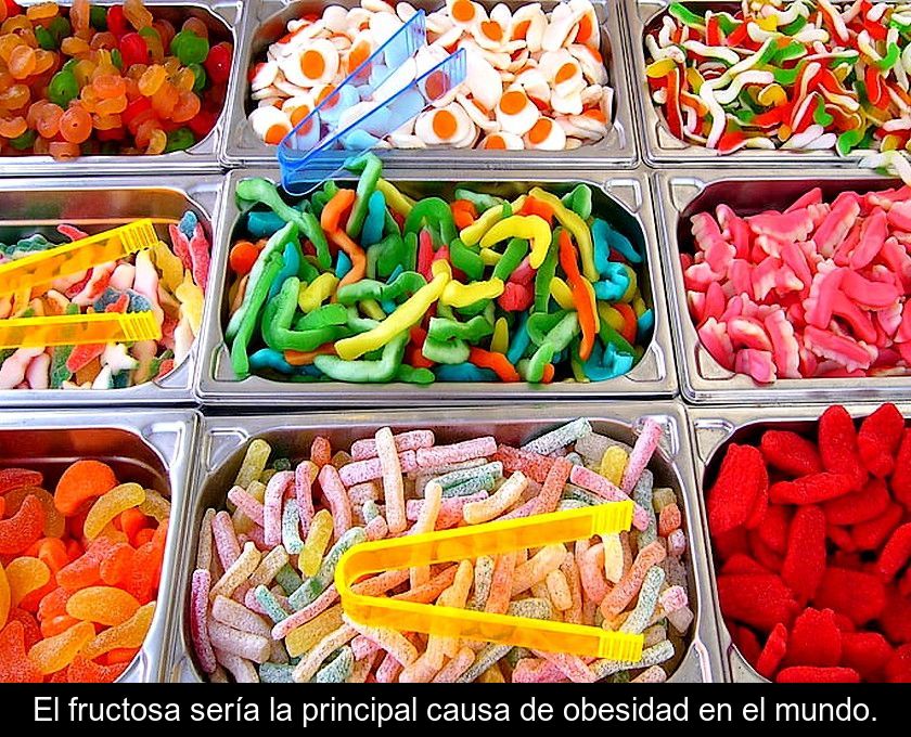 El Fructosa Sería La Principal Causa De Obesidad En El Mundo.