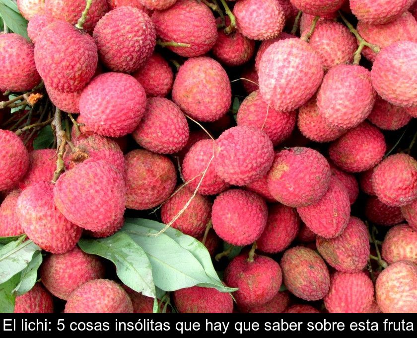 El Lichi: 5 Cosas Insólitas Que Hay Que Saber Sobre Esta Fruta