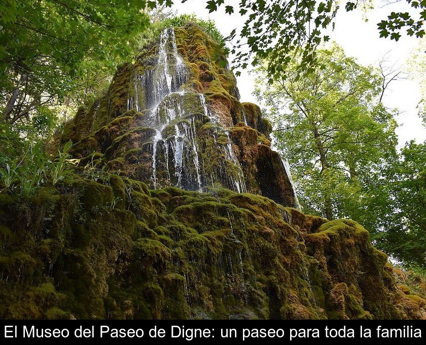 El Museo Del Paseo De Digne: Un Paseo Para Toda La Familia