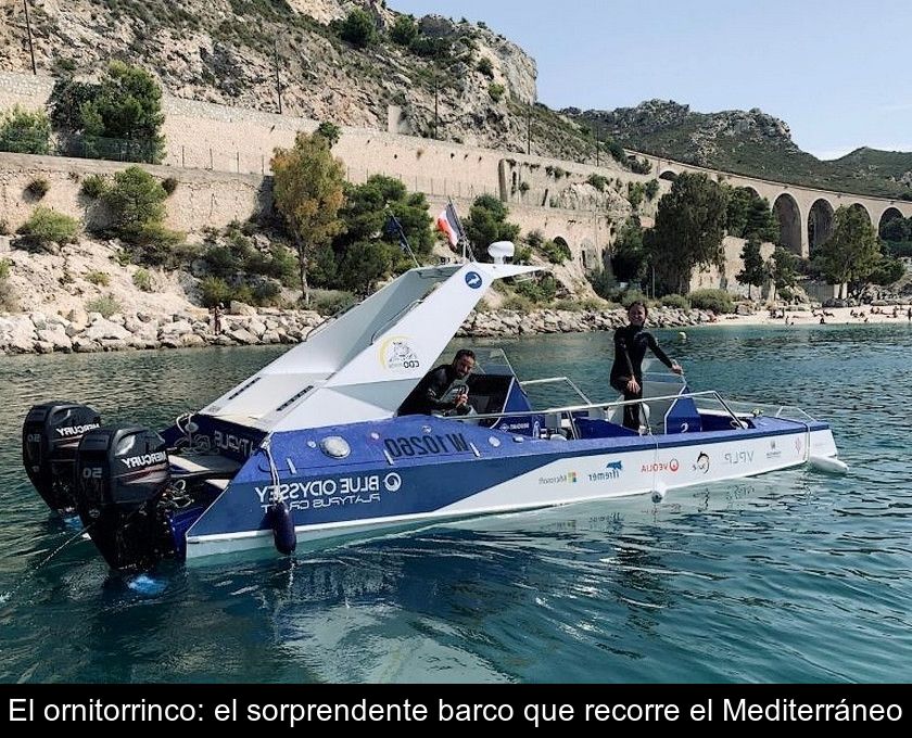 El Ornitorrinco: El Sorprendente Barco Que Recorre El Mediterráneo