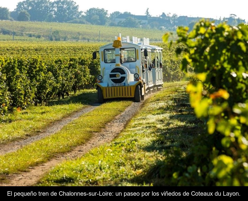 El Pequeño Tren De Chalonnes-sur-loire: Un Paseo Por Los Viñedos De Coteaux Du Layon.