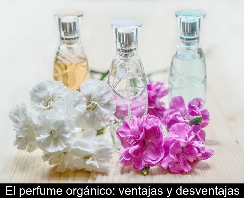 El Perfume Orgánico: Ventajas Y Desventajas