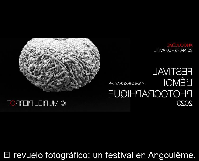 El Revuelo Fotográfico: Un Festival En Angoulême.