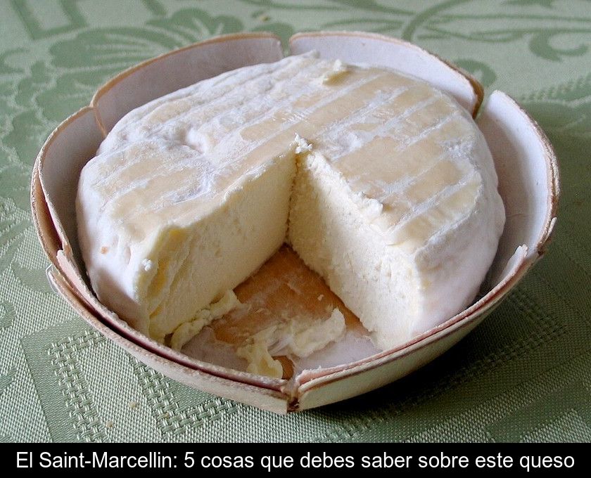 El Saint-marcellin: 5 Cosas Que Debes Saber Sobre Este Queso