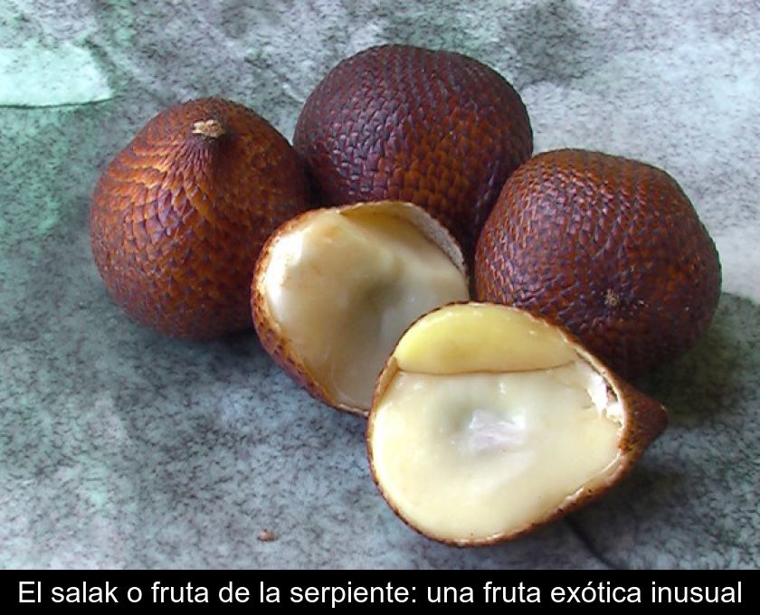 El Salak O Fruta De La Serpiente: Una Fruta Exótica Inusual