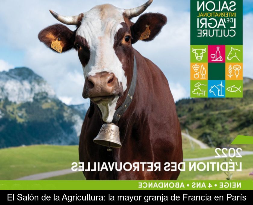 El Salón De La Agricultura: La Mayor Granja De Francia En París