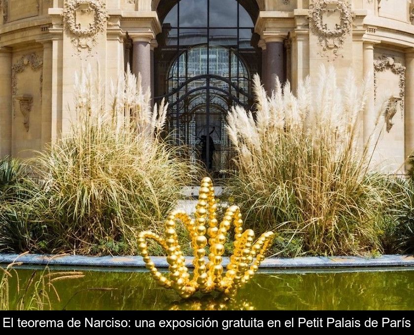 El Teorema De Narciso: Una Exposición Gratuita En El Petit Palais De París